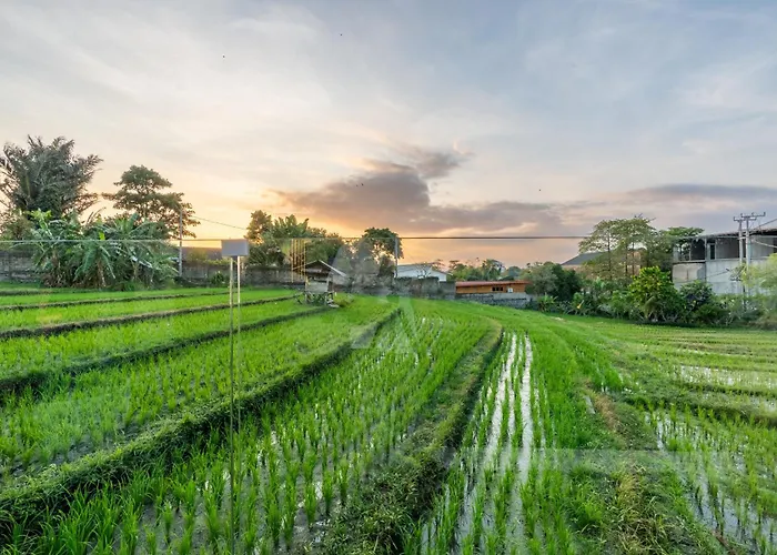 Illusion - 3br With Sauna, Jacuzzi, Rice Field View Near *